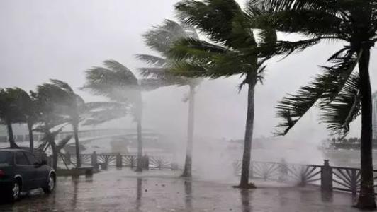 8月臺(tái)風(fēng)雨即將來，除濕機(jī)還得用起來