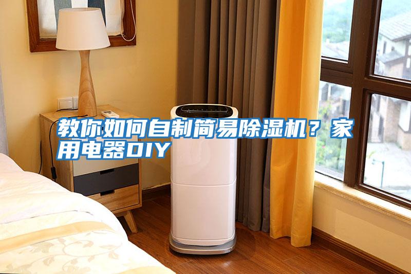 教你如何自制簡易除濕機(jī)？家用電器DIY