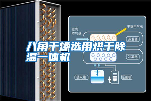八角干燥選用烘干除濕一體機