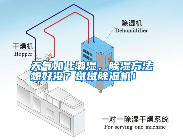 天氣如此潮濕，除濕方法想好沒？試試除濕機(jī)！