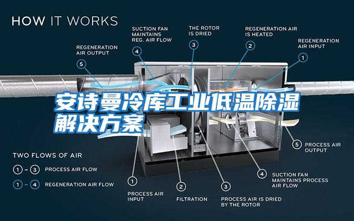 安詩曼冷庫工業(yè)低溫除濕解決方案