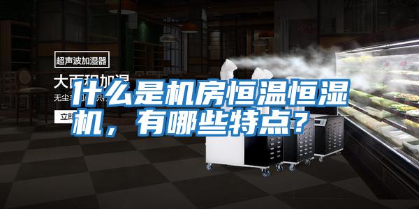 什么是機房恒溫恒濕機，有哪些特點？