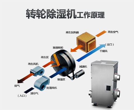 加濕器與除濕機(jī)：生活中更需要哪一個？