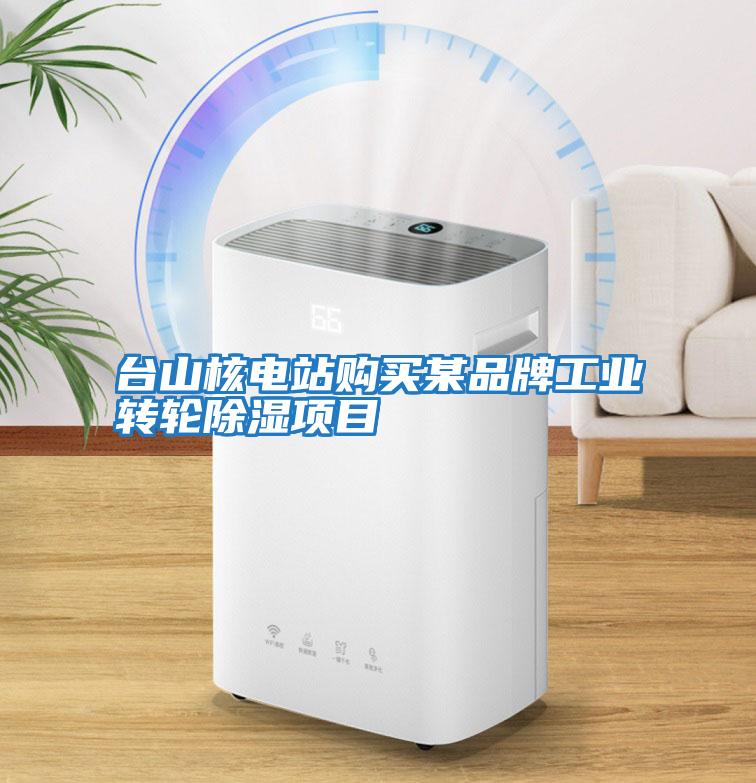 臺山核電站購買某品牌工業(yè)轉(zhuǎn)輪除濕項目