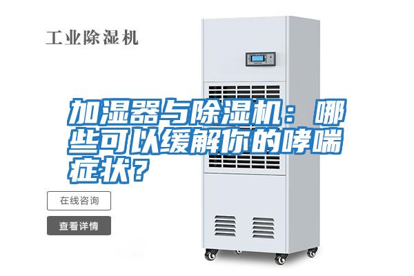 加濕器與除濕機：哪些可以緩解你的哮喘癥狀？