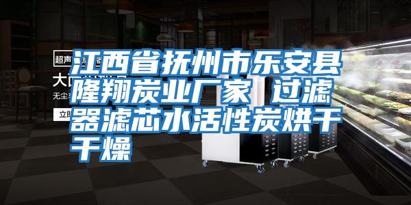 江西省撫州市樂(lè)安縣隆翔炭業(yè)廠(chǎng)家 過(guò)濾器濾芯水活性炭烘干干燥