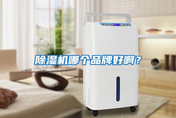 除濕機哪個品牌好??？