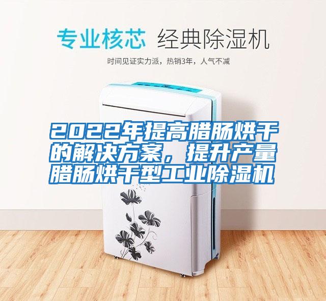 2022年提高臘腸烘干的解決方案，提升產(chǎn)量臘腸烘干型工業(yè)除濕機