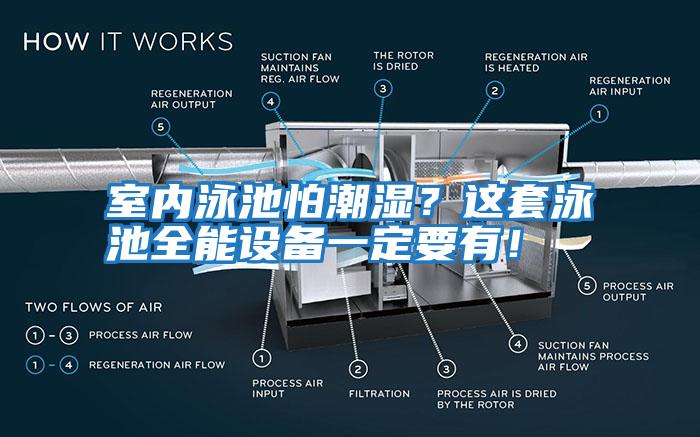 室內泳池怕潮濕？這套泳池全能設備一定要有！