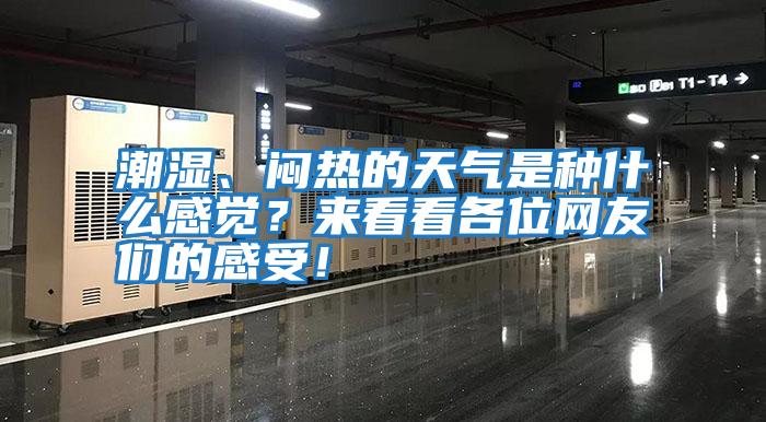 潮濕、悶熱的天氣是種什么感覺？來看看各位網(wǎng)友們的感受！