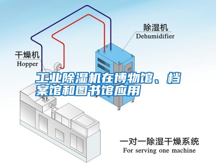 工業(yè)除濕機(jī)在博物館、檔案館和圖書(shū)館應(yīng)用