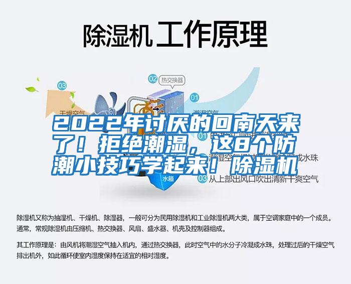 2022年討厭的回南天來了！拒絕潮濕，這8個防潮小技巧學起來！除濕機