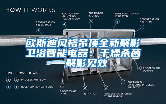 歐斯迪風(fēng)格吊頂全新聚影衛(wèi)浴智能電器：干燥殺菌 聚影見效