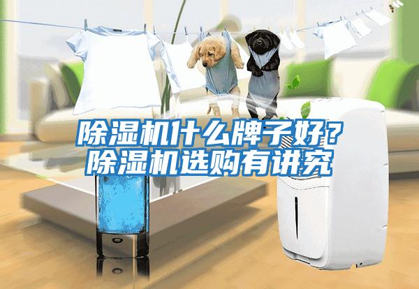 除濕機什么牌子好？除濕機選購有講究