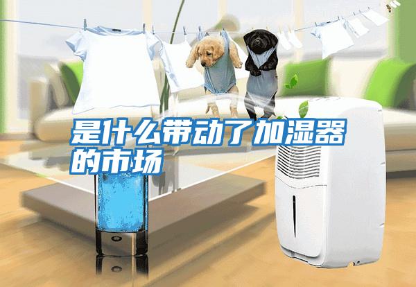 是什么帶動了加濕器的市場