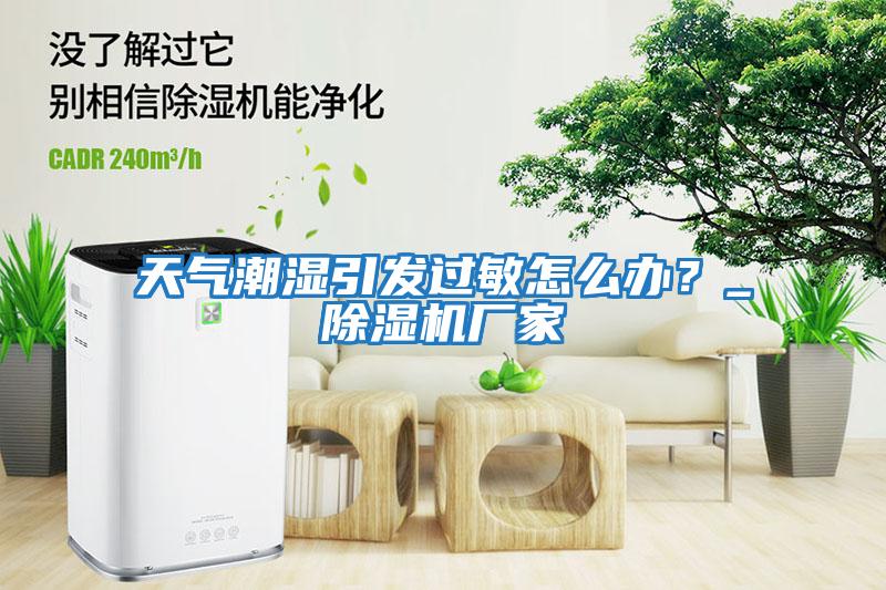 天氣潮濕引發(fā)過敏怎么辦？_除濕機廠家