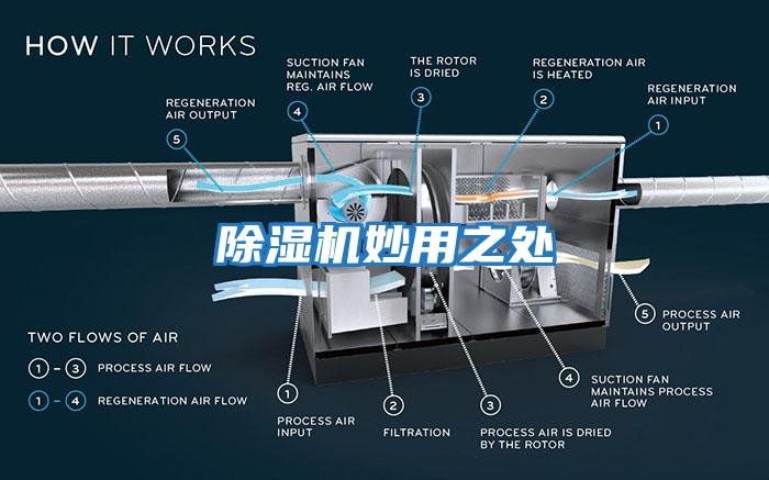 除濕機妙用之處