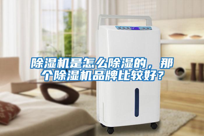 除濕機(jī)是怎么除濕的，那個(gè)除濕機(jī)品牌比較好？