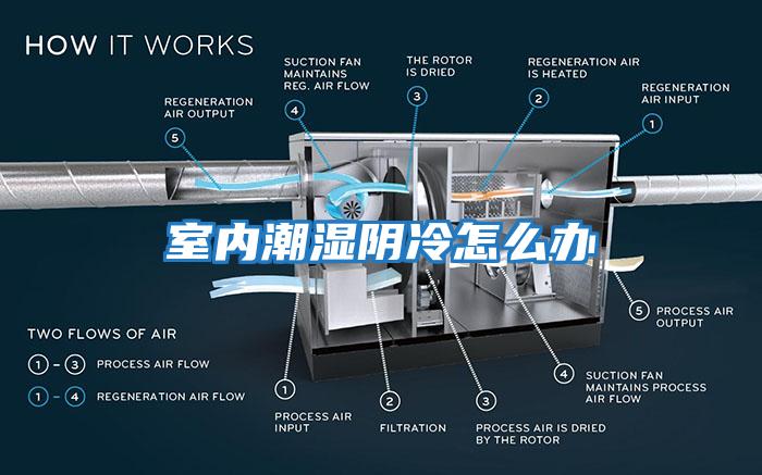 室內潮濕陰冷怎么辦