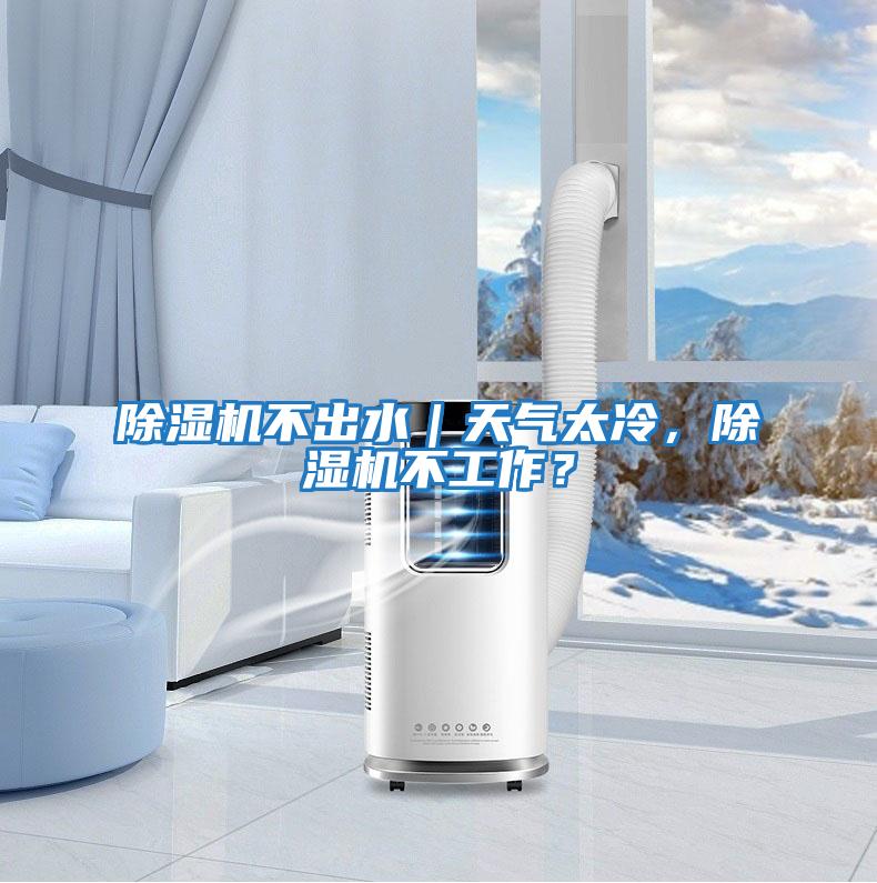 除濕機不出水｜天氣太冷，除濕機不工作？