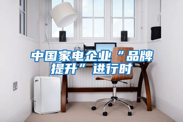 中國家電企業(yè)“品牌提升”進行時