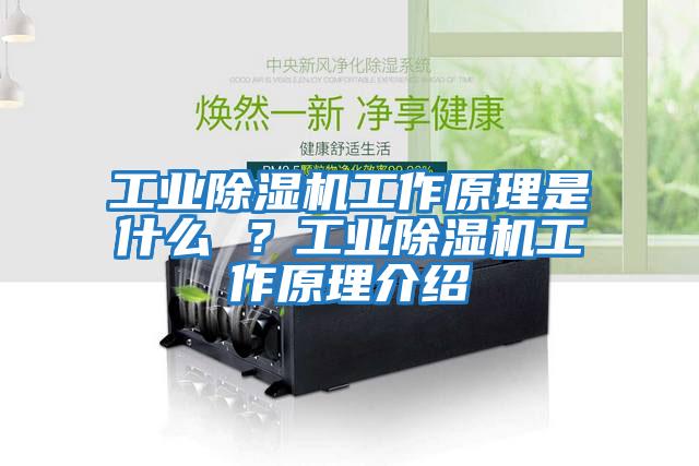 工業(yè)除濕機工作原理是什么 ？工業(yè)除濕機工作原理介紹