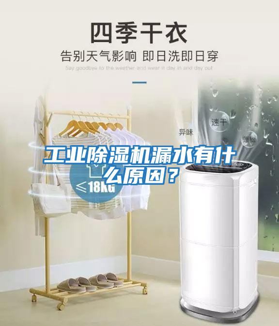 工業(yè)除濕機漏水有什么原因？