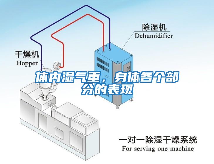 體內(nèi)濕氣重，身體各個部分的表現(xiàn)