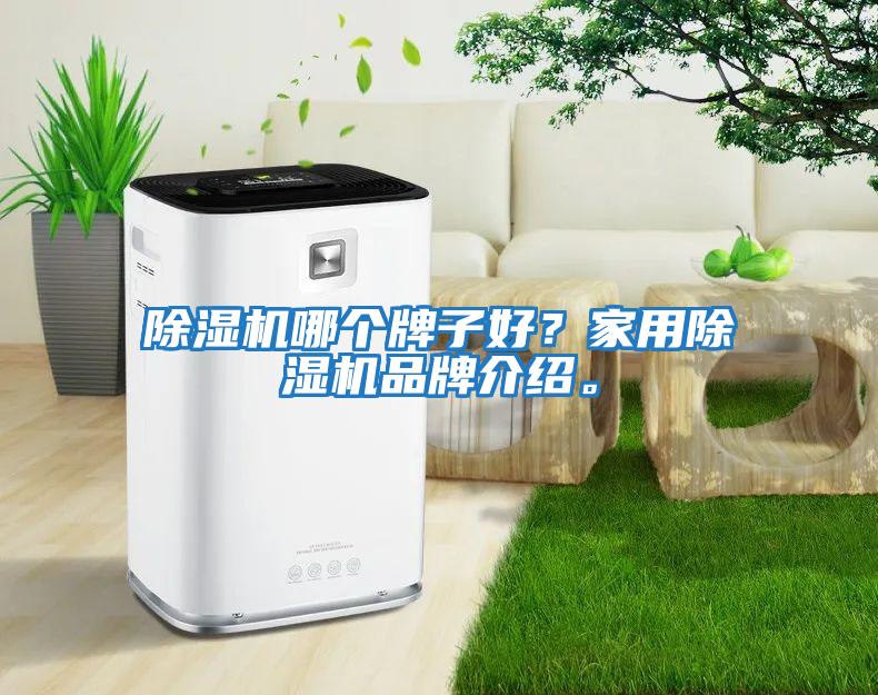 除濕機哪個牌子好？家用除濕機品牌介紹。