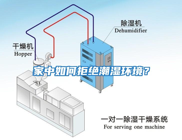 家中如何拒絕潮濕環(huán)境？