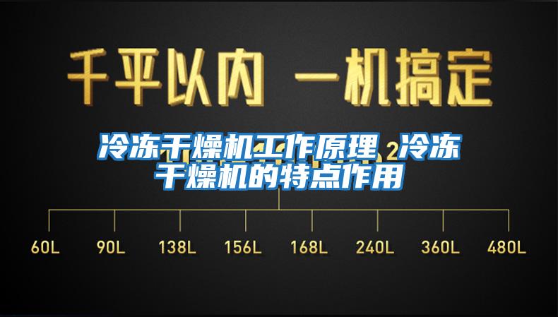 冷凍干燥機工作原理 冷凍干燥機的特點作用