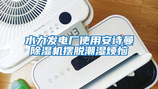 水力發(fā)電廠使用安詩(shī)曼除濕機(jī)擺脫潮濕煩惱