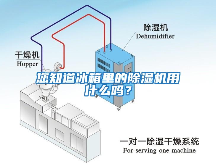 您知道冰箱里的除濕機用什么嗎？