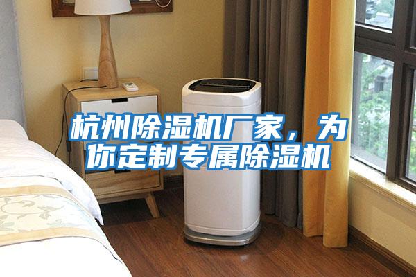 杭州除濕機廠家，為你定制專屬除濕機