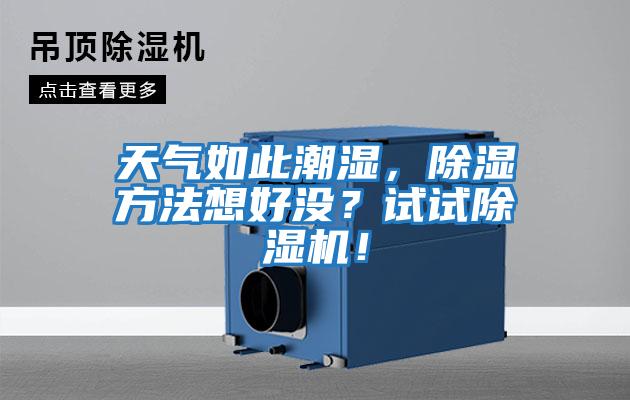 天氣如此潮濕，除濕方法想好沒？試試除濕機(jī)！