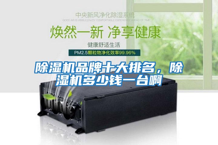 除濕機品牌十大排名，除濕機多少錢一臺啊