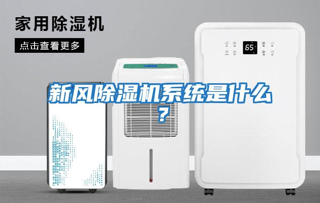 新風(fēng)除濕機系統(tǒng)是什么？