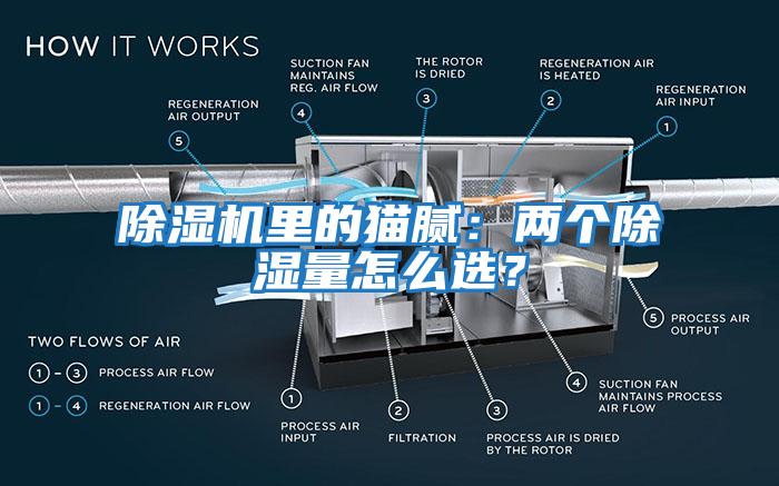 除濕機(jī)里的貓膩：兩個(gè)除濕量怎么選？