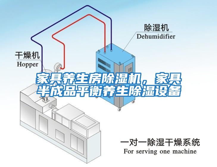 家具養(yǎng)生房除濕機(jī)，家具半成品平衡養(yǎng)生除濕設(shè)備