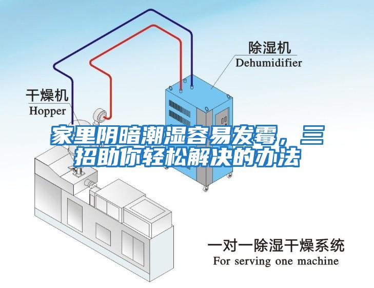 家里陰暗潮濕容易發(fā)霉，三招助你輕松解決的辦法