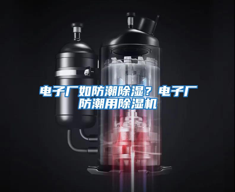 電子廠如防潮除濕？電子廠防潮用除濕機(jī)