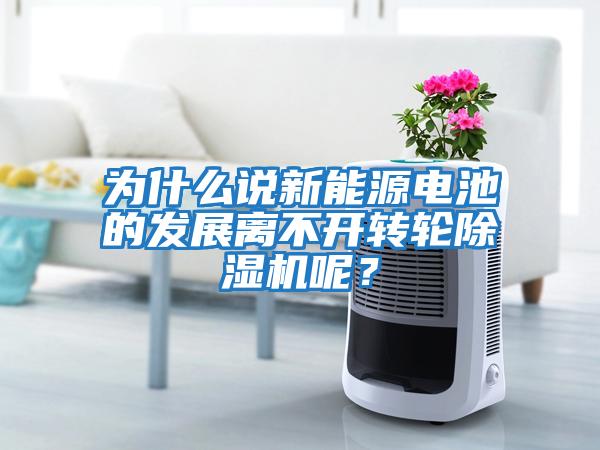 為什么說新能源電池的發(fā)展離不開轉(zhuǎn)輪除濕機(jī)呢？