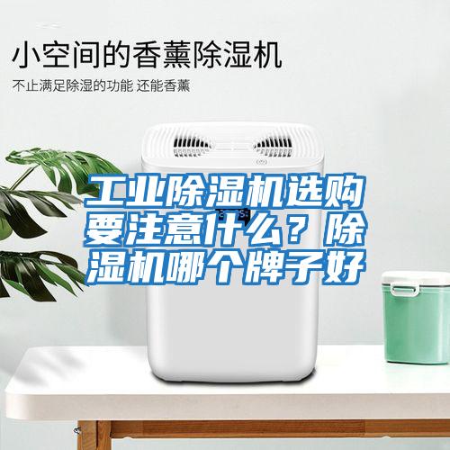 工業(yè)除濕機(jī)選購(gòu)要注意什么？除濕機(jī)哪個(gè)牌子好