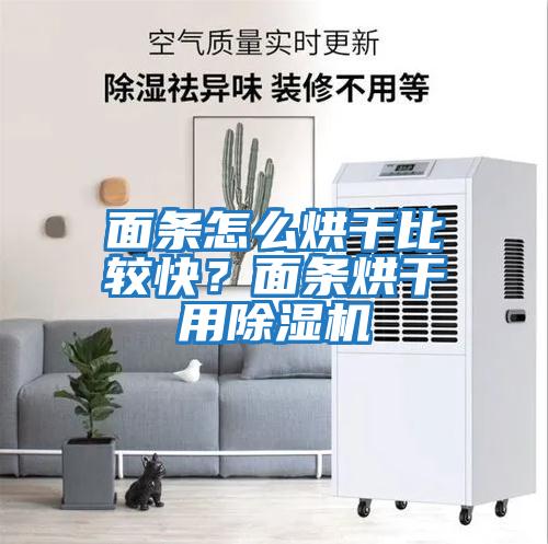 面條怎么烘干比較快？面條烘干用除濕機