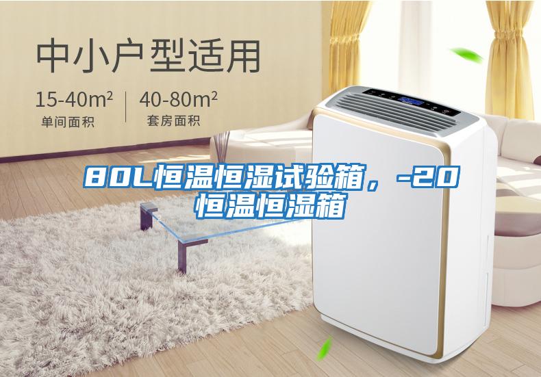 80L恒溫恒濕試驗(yàn)箱，-20℃恒溫恒濕箱