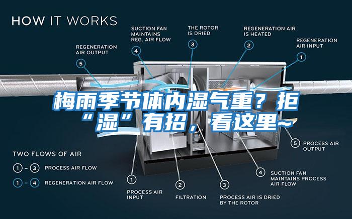 梅雨季節(jié)體內(nèi)濕氣重？拒“濕”有招，看這里~