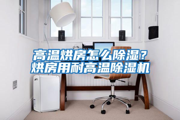 高溫烘房怎么除濕？烘房用耐高溫除濕機(jī)