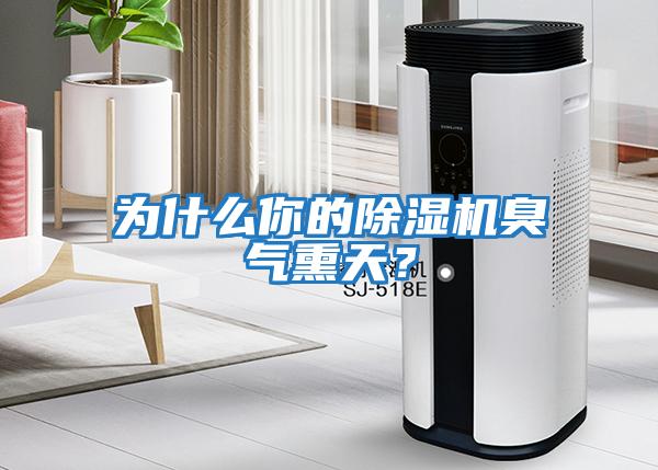 為什么你的除濕機(jī)臭氣熏天？