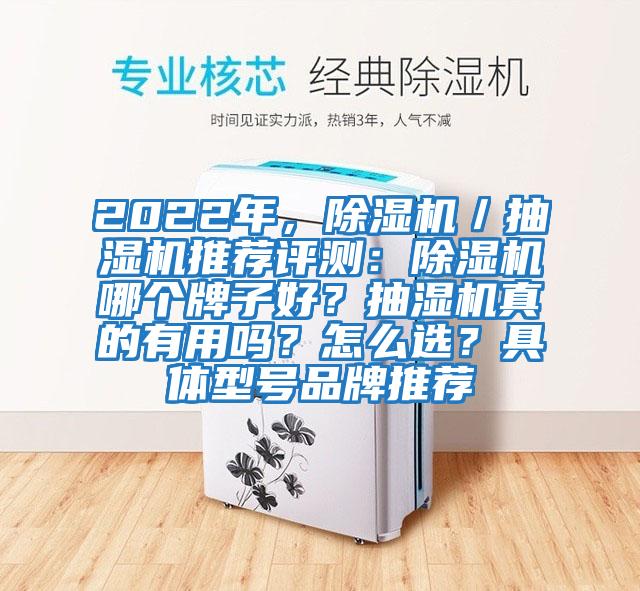 2022年，除濕機(jī)／抽濕機(jī)推薦評(píng)測(cè)：除濕機(jī)哪個(gè)牌子好？抽濕機(jī)真的有用嗎？怎么選？具體型號(hào)品牌推薦