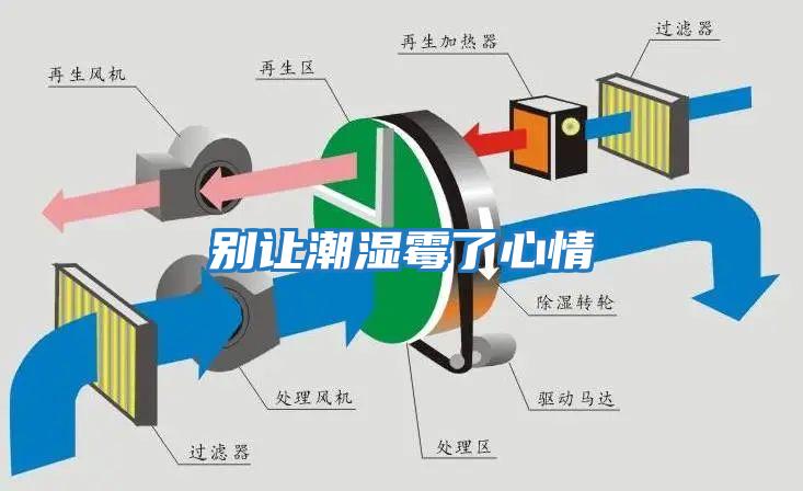 別讓潮濕霉了心情